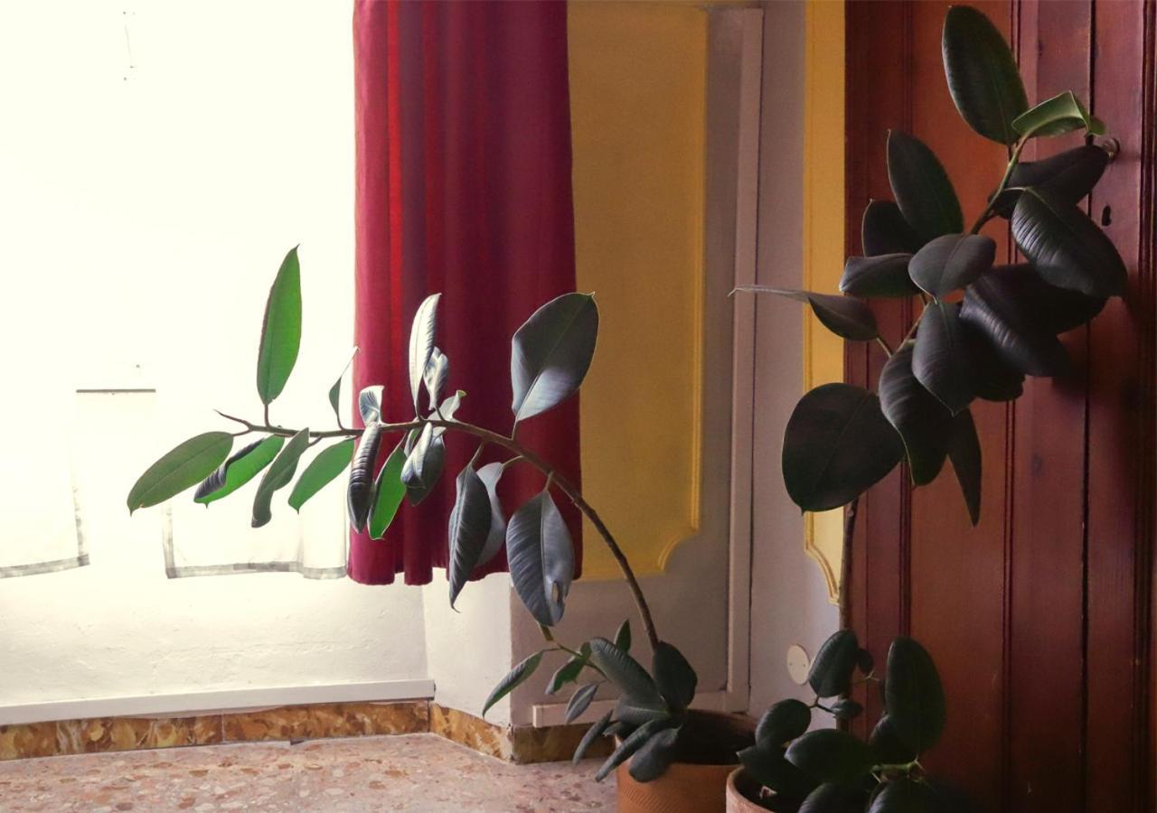 Retro B&B Pisa Dış mekan fotoğraf